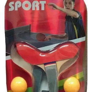 13872_1 Set de ping pong Bisonte